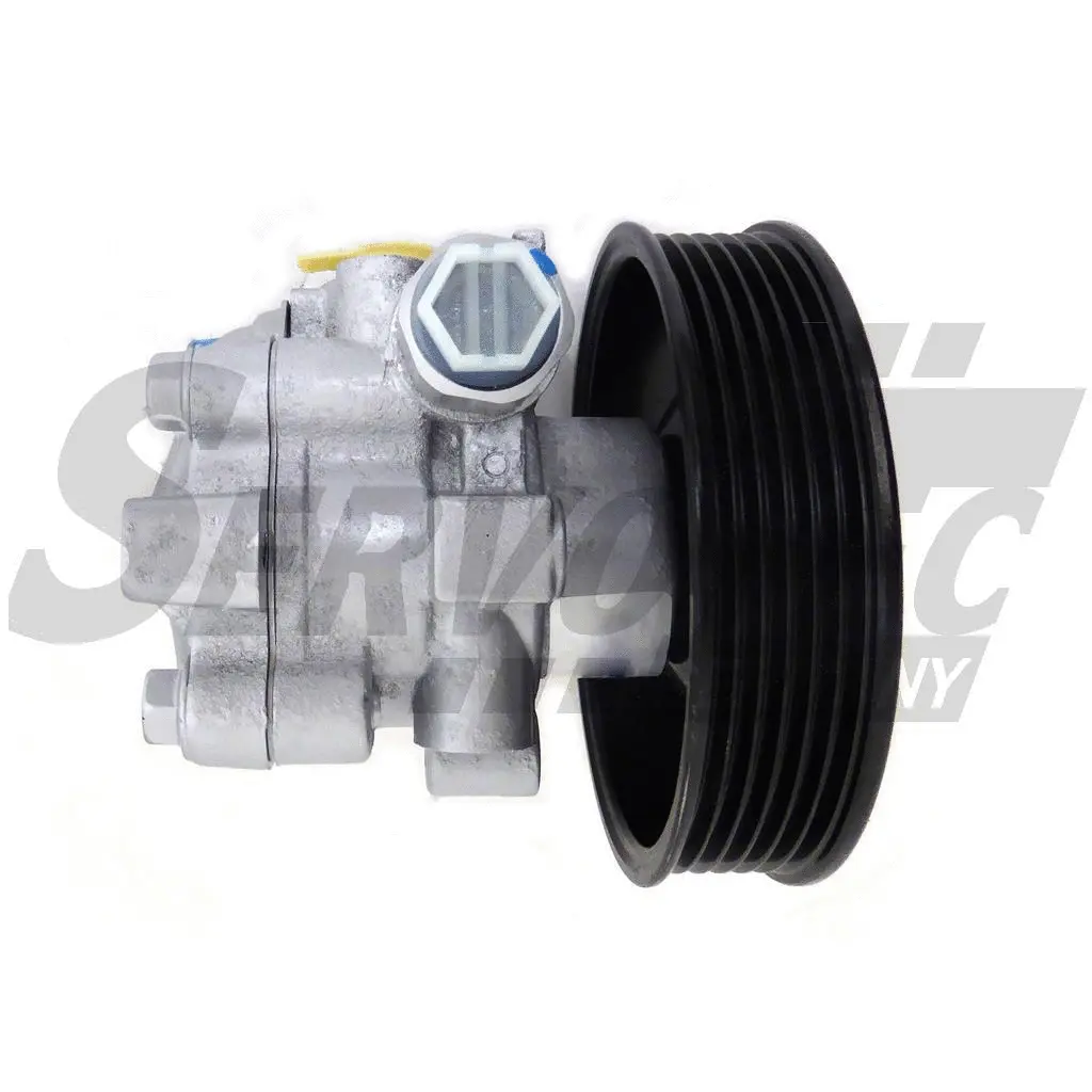 Hydraulic Pump, steering (STSP5196)