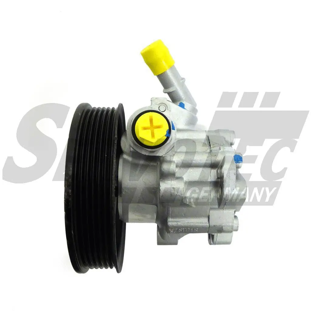 Hydraulic Pump, steering (STSP5116)