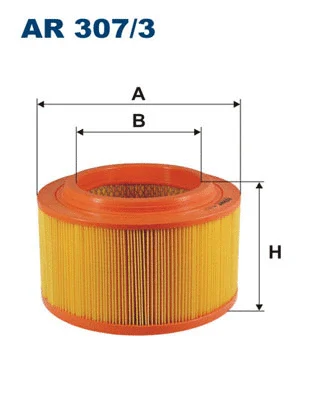 Air Filter (AR 307/3)