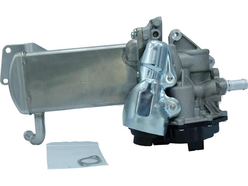 EGR Valve (AM10137)