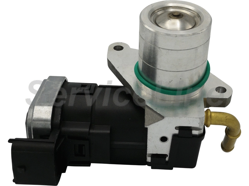 EGR Valve (AM10139)