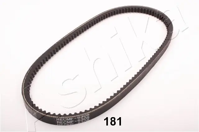 V-Belt (94-01-181)