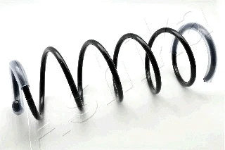 Suspension Spring (ZCA1549G)