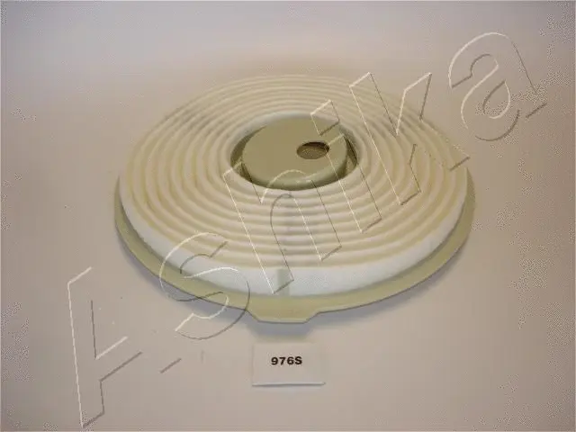 Air Filter (20-09-976)