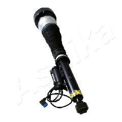 Air Suspension Strut