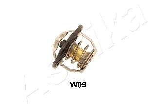 Thermostat, coolant (38-0W-W09)