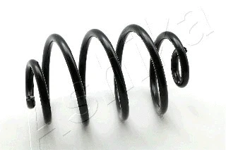 Suspension Spring (ZCA6341X)