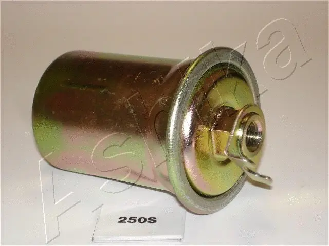 Fuel Filter (30-02-250)