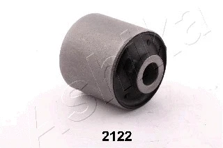 Mounting, control/trailing arm (GOM-2122)