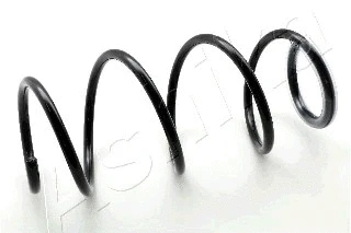 Suspension Spring (ZCA2709H)
