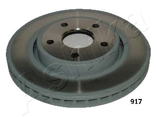 Brake Disc (60-09-917)