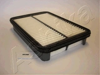 Air Filter (20-09-998)