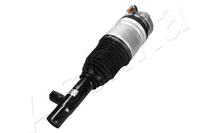 Air Suspension Strut (MA-AS206)