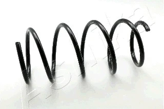 Suspension Spring (ZCA1022G)