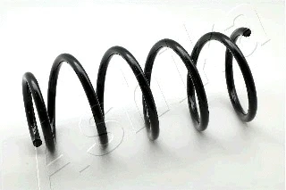 Suspension Spring (ZCA1689C)