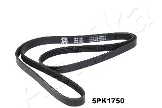 V-Ribbed Belt (112-5PK1750)