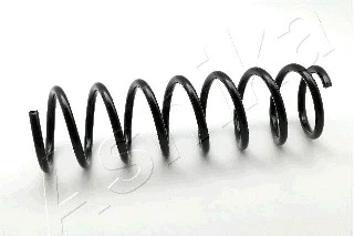 Suspension Spring (ZCA6693C)