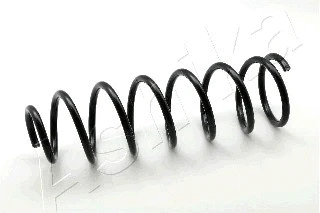 Suspension Spring (ZCA1045C)
