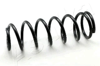 Suspension Spring (ZCA6544G)