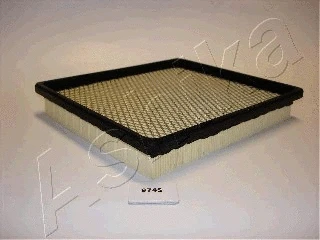 Air Filter (20-09-974)
