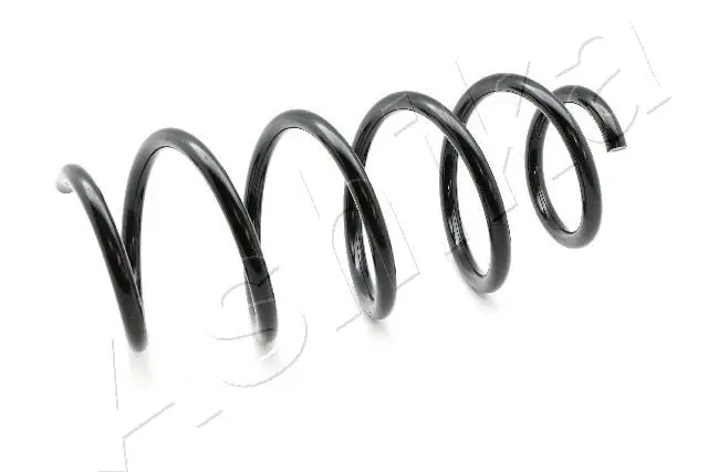 Suspension Spring (ZCA1159A)