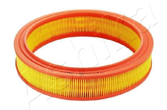 Air Filter (FA-0234JM)