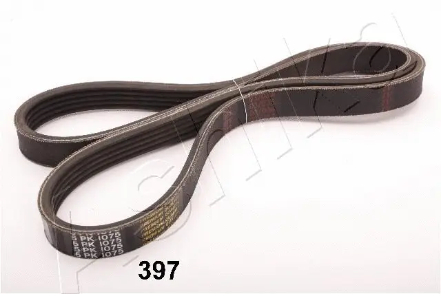 V-Ribbed Belt (96-92-397)