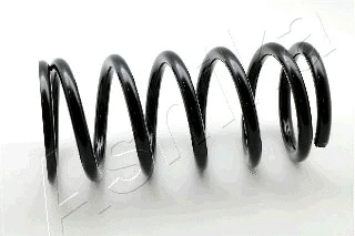 Suspension Spring (ZCA5934D)
