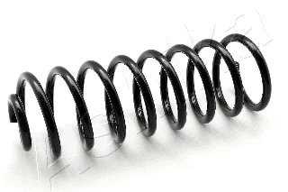 Suspension Spring (ZCA5487C)