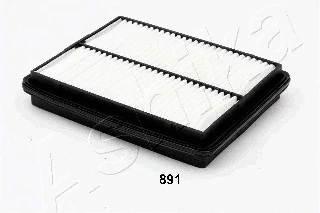 Air Filter (20-08-891)