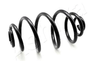Suspension Spring (ZCA5161J)
