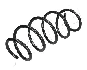 Suspension Spring (ZCA4013A)