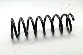 Suspension Spring (ZCA5064A)
