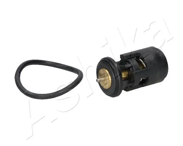 Thermostat, coolant (38-00-0907)