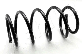 Suspension Spring (ZCA1010H)