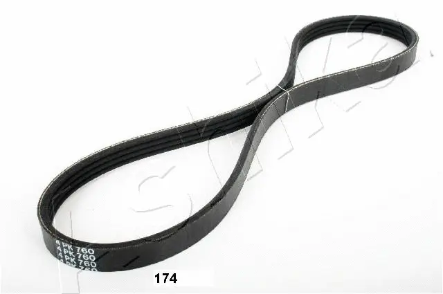V-Ribbed Belt (96-01-174)