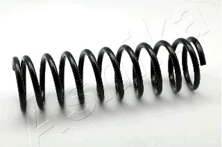 Suspension Spring (ZCA5485A)