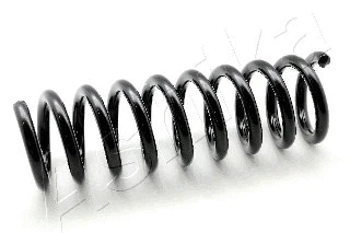 Suspension Spring (ZCA5373A)