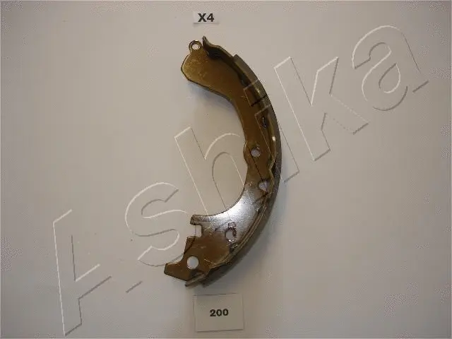 Brake Shoe Set (55-02-200)