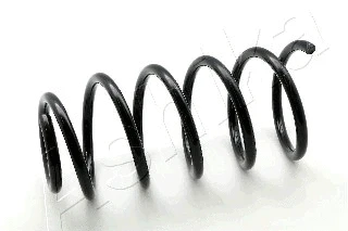 Suspension Spring (ZCA1699C)