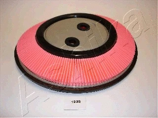 Air Filter (20-01-122)