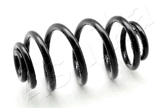 Suspension Spring (ZCA5554J)
