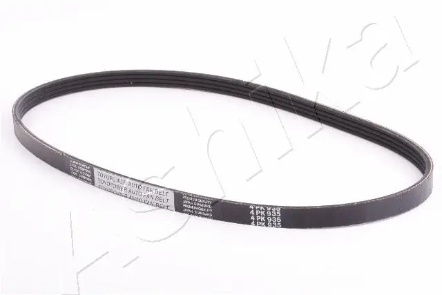 V-Ribbed Belt (96-09-938)