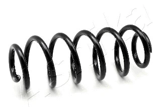 Suspension Spring (ZCA6242A)