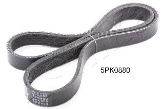 V-Ribbed Belt (112-5PK880)