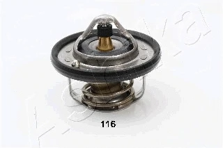 Thermostat, coolant (38-01-116)