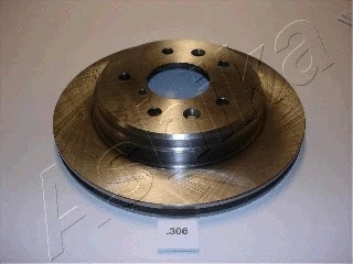 Brake Disc (61-03-306)