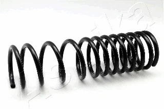 Suspension Spring (ZCA5394A)