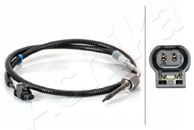 Sensor, exhaust gas temperature (161-00-0505)
