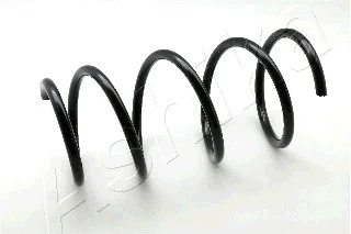 Suspension Spring (ZCA1568G)